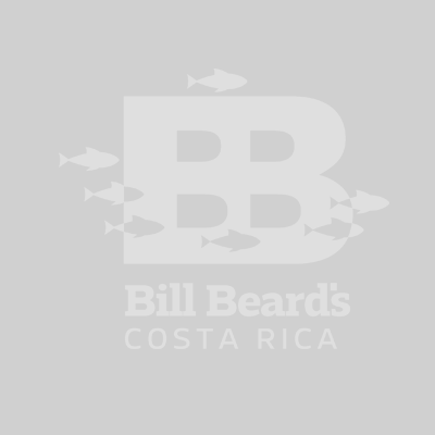 Bill Beard Costa Rica Logo