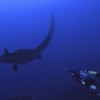 2 Tank Dive – Flamingo, Conchal