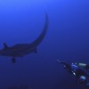 2 Tank Dive - Tamarindo