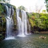 Sloths, Monkeys & Waterfall Tour