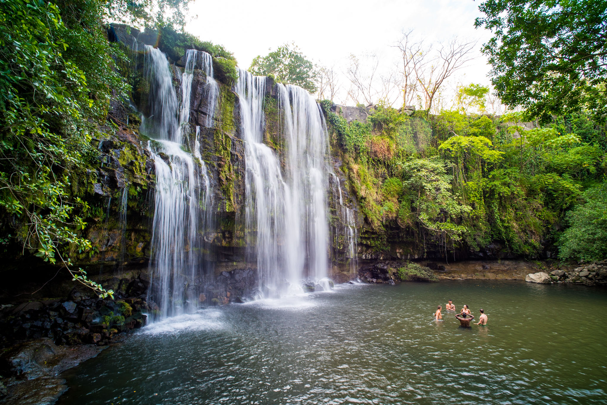 Sloths, Monkeys & Waterfall Tour.