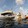 Catamaran Sailing & Snorkeling Afternoon Tour