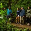 Monteverde Cloud Forest Reserve Hike