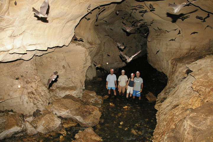 Adventure awaits at Venado Caves—a thrilling family experience in Costa Rica!