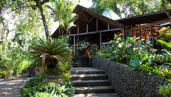 Ensure an unmatched diving experience with Bill Beard's Costa Rica!