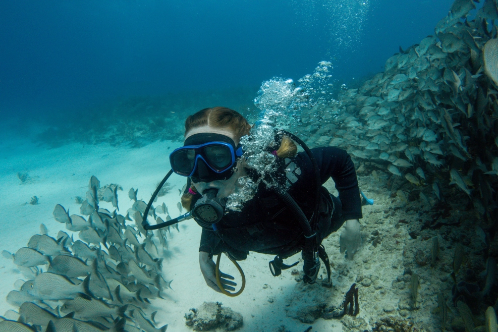 Find a great diving spot in Costa Rica, Central America, with Bill Beard's Costa Rica.