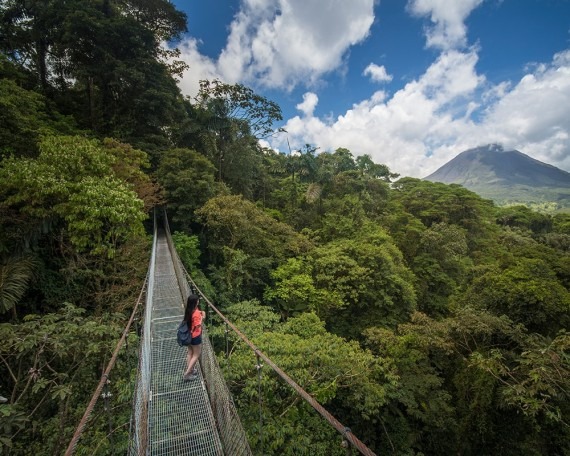 Arenal Hanging Bridges
