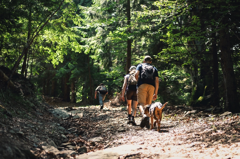 Experience Costa Rica's natural beauty at Corcovado National Park!