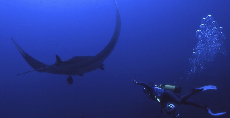 Scuba dive costa rica