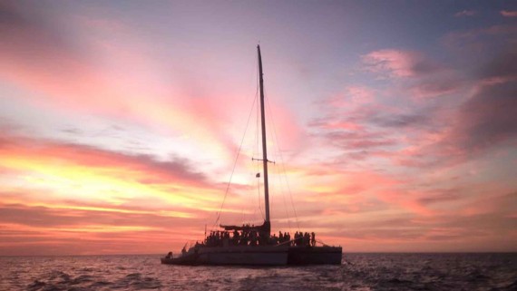 Catamaran Sailing & Snorkeling Afternoon Tour