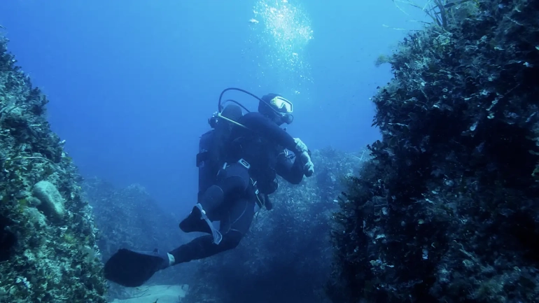 Dive & Discover Costa Rica
