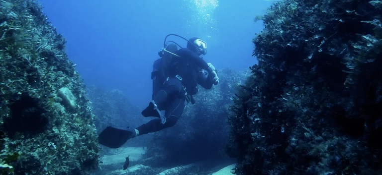 Let Bill Beard's be your trusted guide in eco-friendly scuba diving!