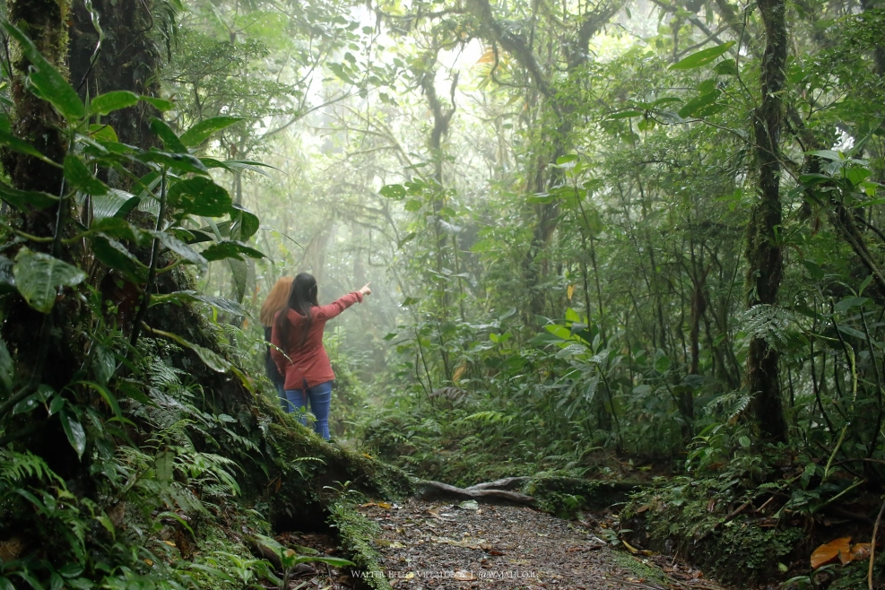 Make your Costa Rican adventure memorable by visiting Monteverde, a destination known for sustainable tourism!