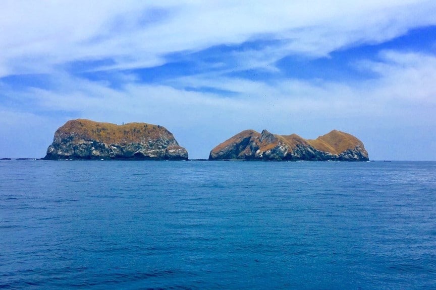 Catalina Island
Is Known For Pacific Manta Rays