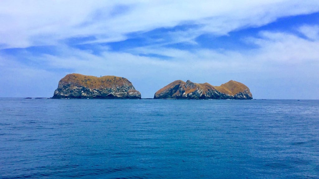 Best Time to Dive Catalina Islands: When Should You Plan Your Trip?