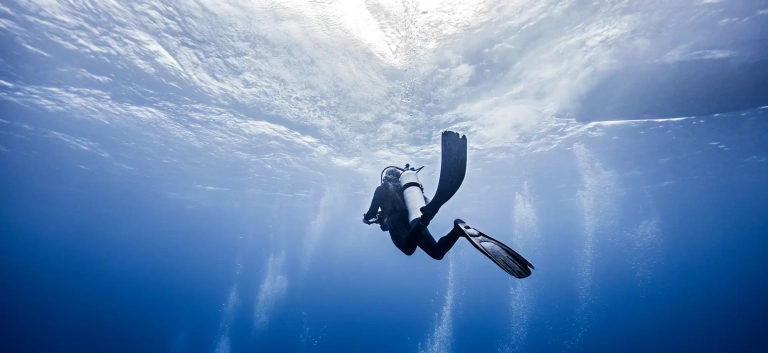 Dive in Tamarindo with Bill Beard's Costa Rica!