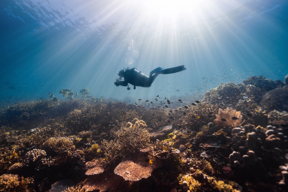 Get ready to scuba dive in the Catalina Islands, Costa Rica.