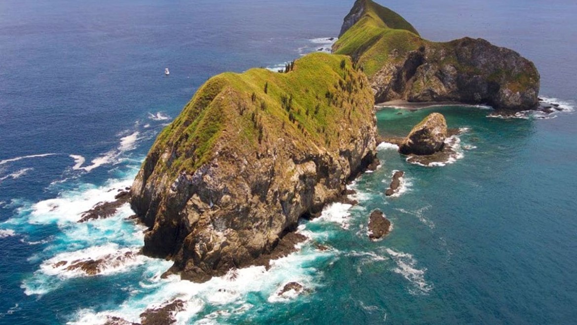 Why Every Diver Should Visit Catalina Islands, Costa Rica!