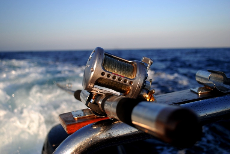 sport fishing costa rica