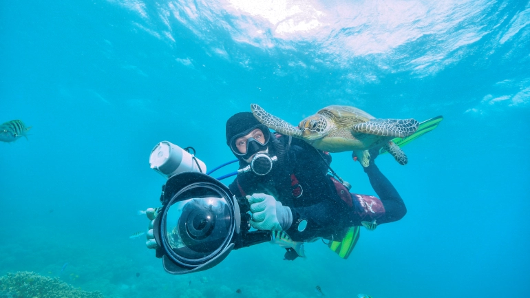 Discover What to See in Costa Rica While Scuba Diving in Its Stunning Waters